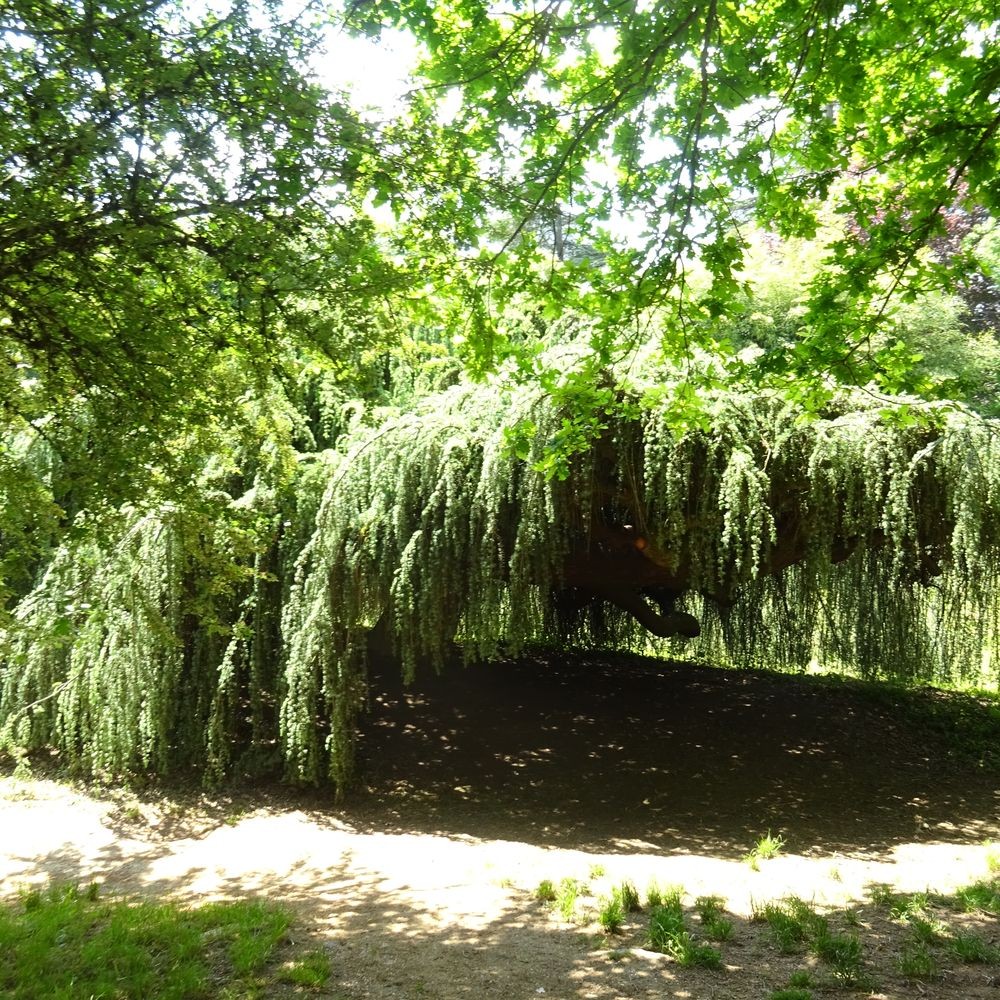 Parc reynou 102 