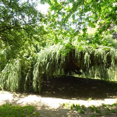 Parc reynou 102 