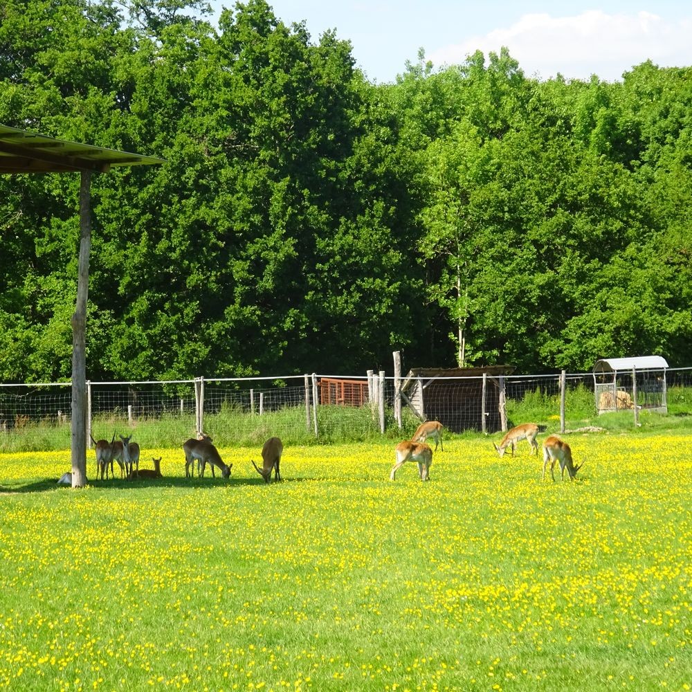 Parc reynou 104 
