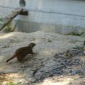 Parc reynou 28 
