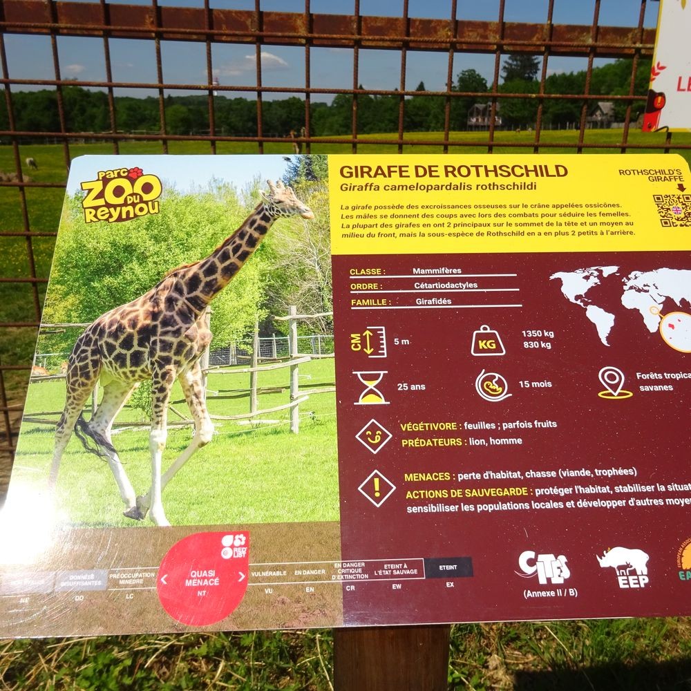 Parc reynou 56 