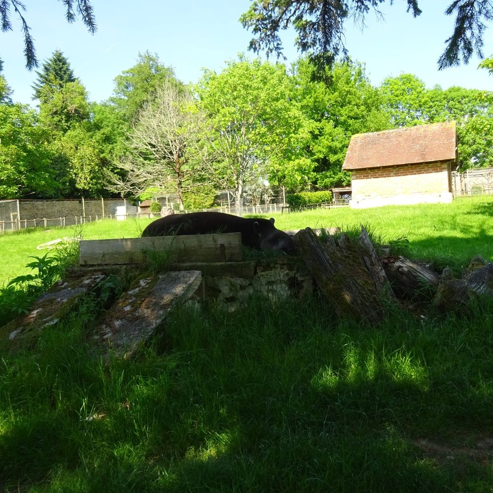 Parc reynou 60 