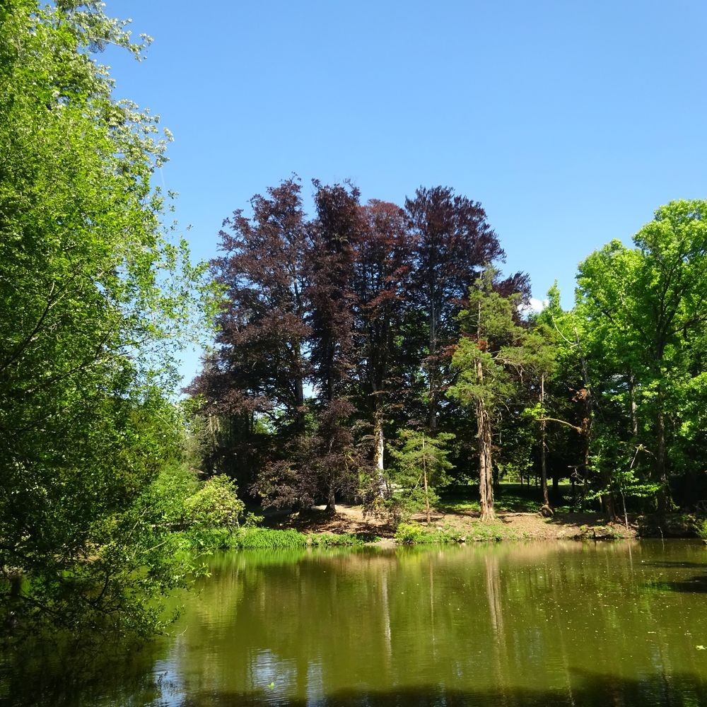 Parc reynou 72 