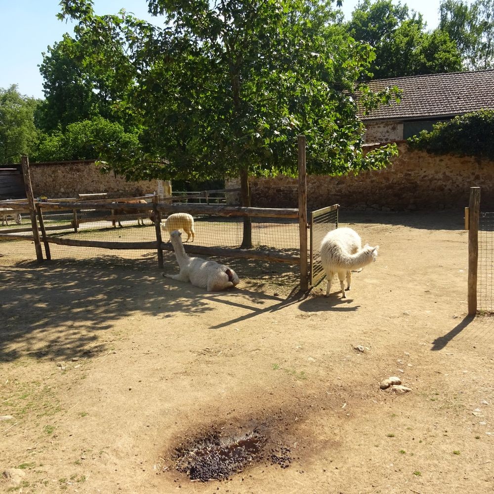 Parc reynou 91 