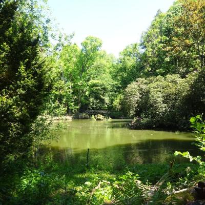 Parc reynou 99 