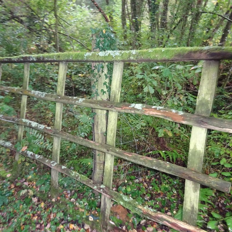 St hilaire les places 61 